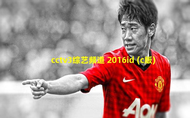 cctv3综艺频道 2016id (c版)